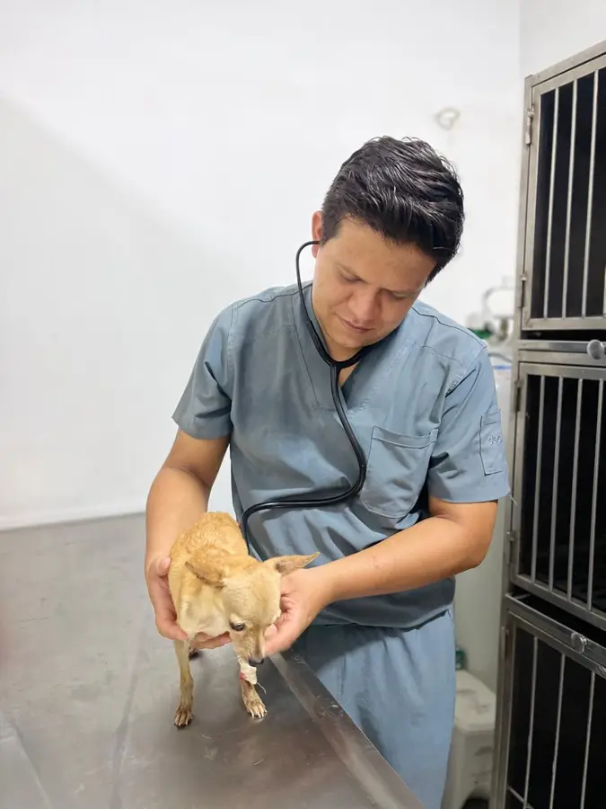 Mascota cliente de Caribe Pets